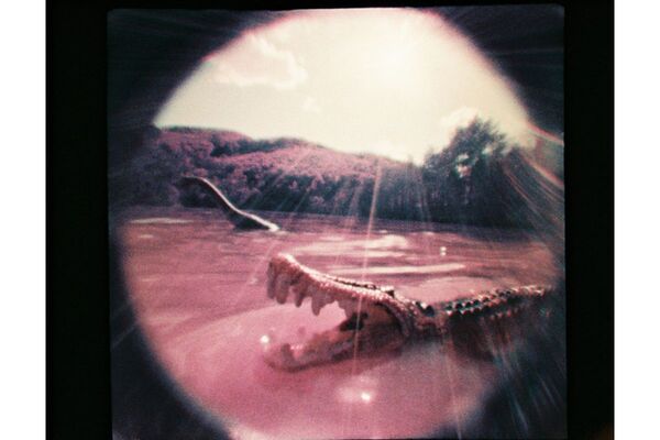 Lomography Fisheye Baby 110  Multicolor