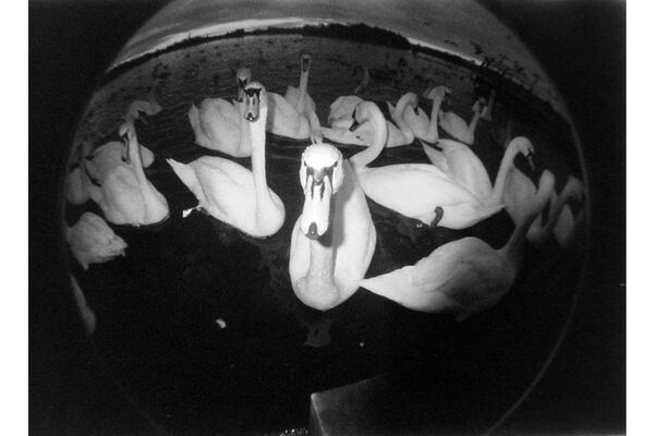 Lomography Fisheye No. 2 Camera  Grape Jam 