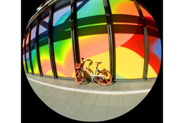 Lomography Fisheye No. 2 Camera  Grape Jam 