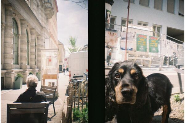 Lomography Half-frame Lomourette  Picnic Edition