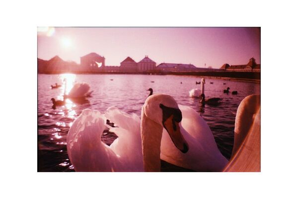 Lomography La Sardina Kamera  8-Ball