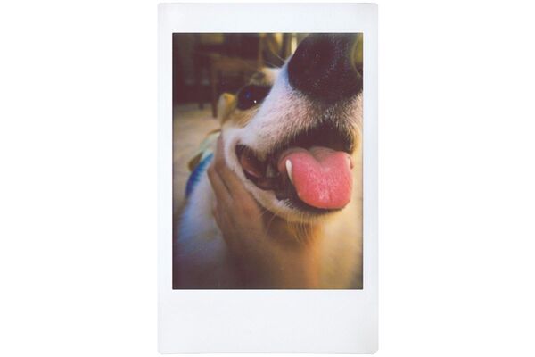 Lomography Lomo'Instant Automat Glass  Ema Ichikawa