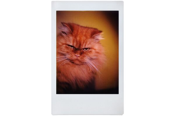 Lomography Lomo'Instant Automat Glass  Magellan