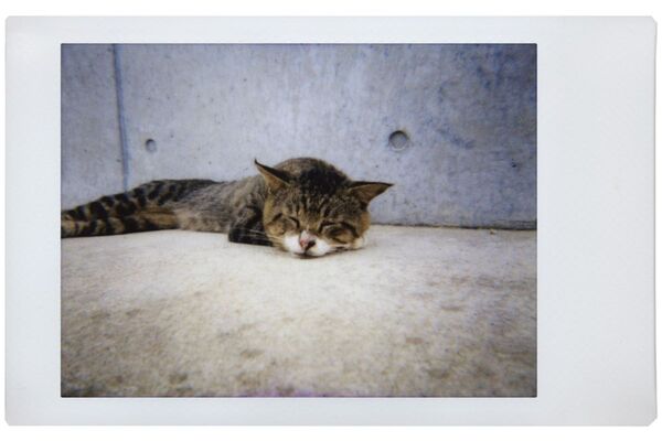 Lomography Lomo Instant Automat  + Objektiv Henry Steiner