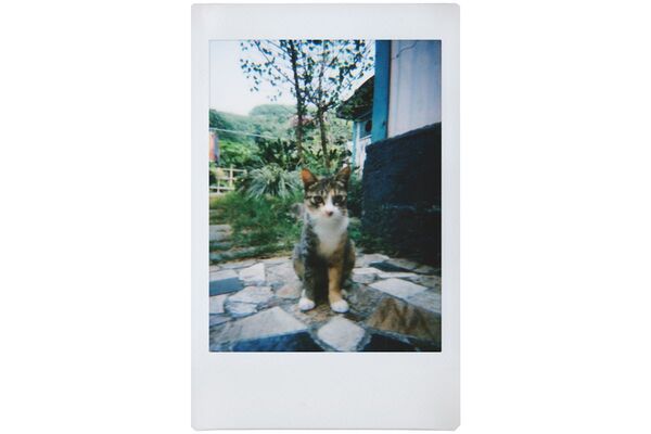 Lomography Lomo Instant + 3 Objektive  Boston