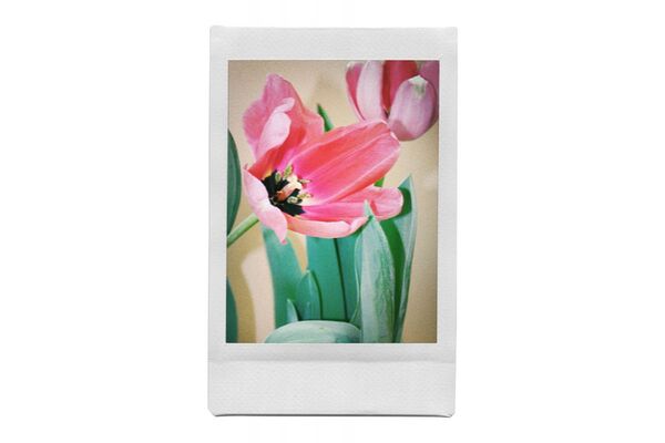 Lomography Lomo'Instant Song's Palette Edition Combo 