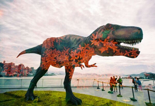 Lomography LomoApparat 21mm Point and Shoot  Camera  Fluffy Omelet