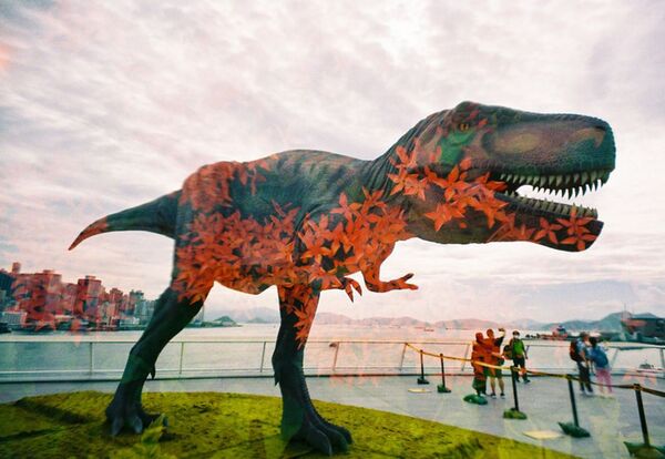 Lomography LomoApparat 21mm Point and Shoot  Camera  Neubau