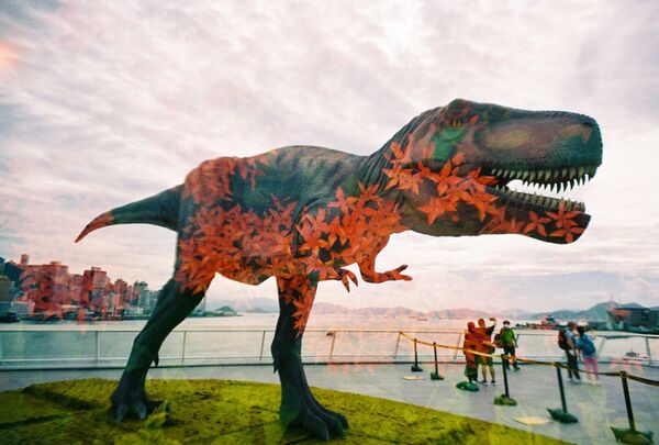 Lomography LomoApparat 21mm Point and Shoot Camera  Chiyoda