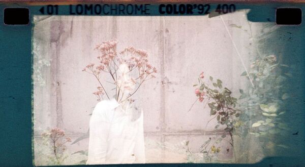 Lomography LomoChrome Farbnegativ 110 ISO 400 Film  Color ’92 Sunkissed