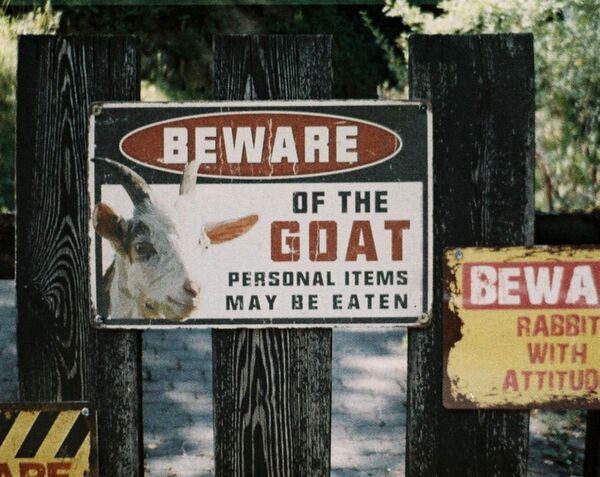 Lomography LomoChrome Farbnegativ 110 ISO 400 Film  Color ’92 Sunkissed