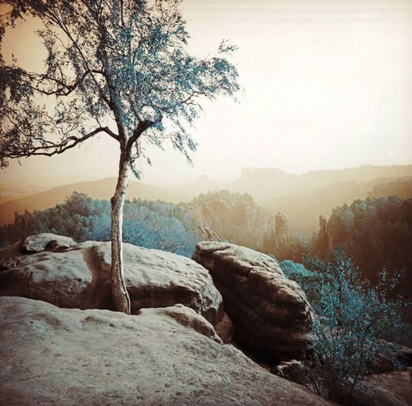 Lomography LomoChrome Farbnegativfilm 120 ISO 100-400  Türkis 