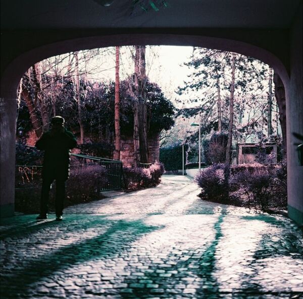 Lomography LomoChrome Farbnegativfilm 120 ISO 100-400  Purple Pétillant