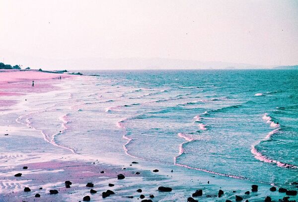 Lomography LomoChrome Film 35mm ISO 100-400  Purple Pétillant 