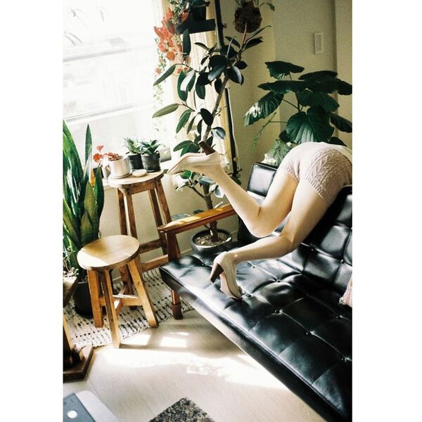 Lomography LomoChrome Film 35mm ISO 400  Color ’92 Sunkissed