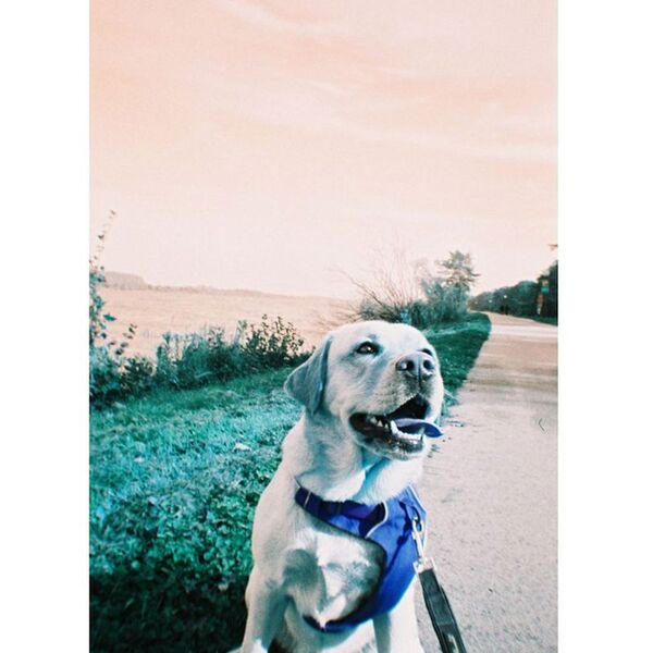 Lomography LomoChrome Simple Use Film Camera  Türkis