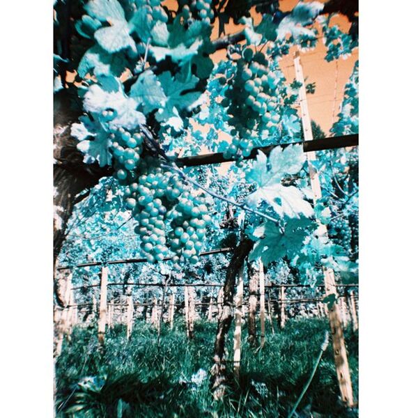 Lomography LomoChrome Simple Use Film Camera  Türkis