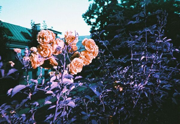 Lomography LomoChrome Simple Use Film Camera  Purple 