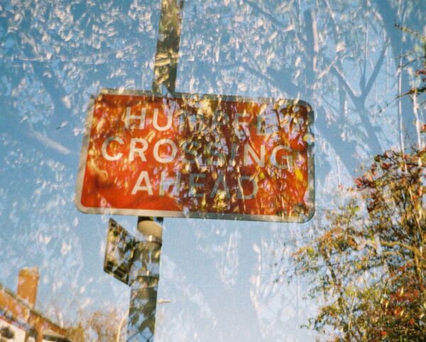 Lomography Lomomatic 110  Camera & Flash Golden Gate edition