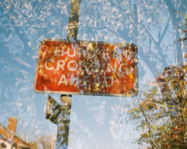 Lomography Lomomatic 110  Camera only Golden Gate edition