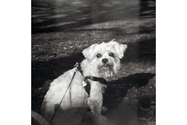 Lomography LomoMod No.1 