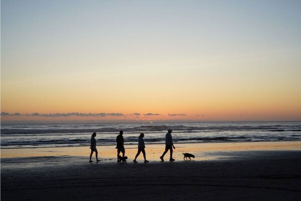 Lomography Nour triplet V 64mm f/2.0 Bokeh Control Art Lens  Sony E Alu Black