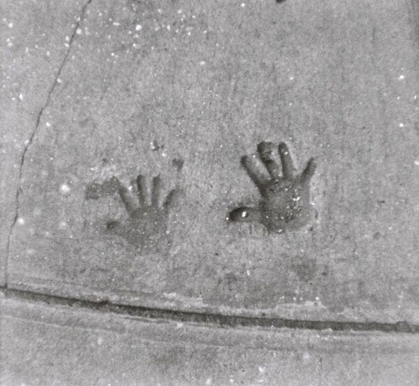 Lomography Schwarzweißfilm 110 ISO 100  Orca