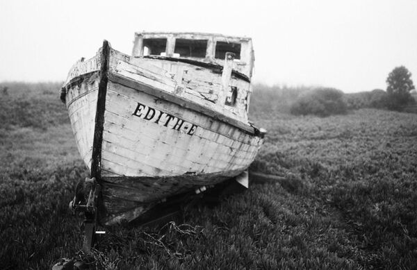 Lomography Schwarzweißfilm 35mm ISO 100  Potsdam Kino