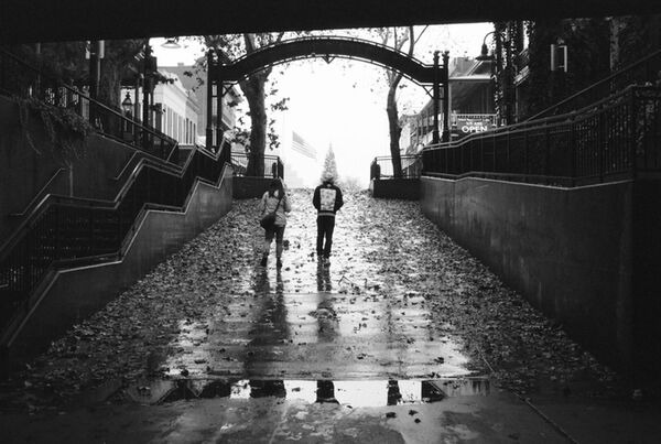 Lomography Schwarzweißfilm 35mm ISO 400 ISO  Lady Grey 3er Pack