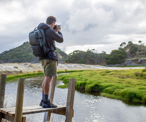 Lowepro Fastpack Pro BP250 AW III  grau