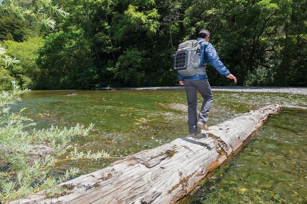 Lowepro Flipside Trek BP 250 AW  grau