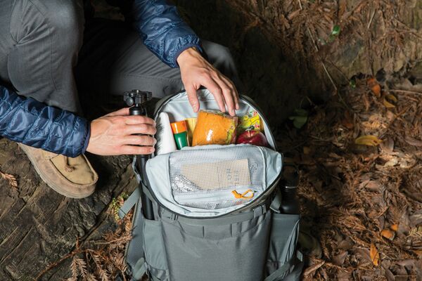 Lowepro Flipside Trek BP 250 AW  grau