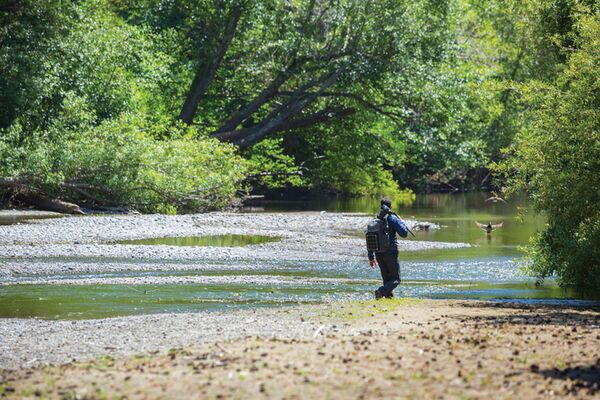 Lowepro Flipside Trek BP 250 AW  grau