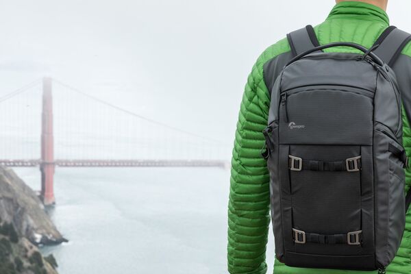 Lowepro FreeLine BP 350 AW  grau