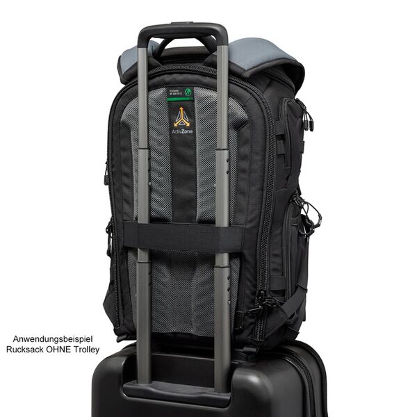 Lowepro ProTactic BP 350 AW III 