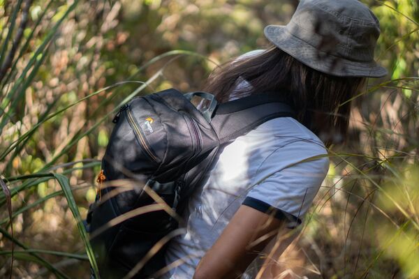 Lowepro Slingshot SL 250 AW III  schwarz