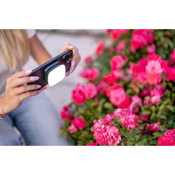 Newell Bella LED Leuchte 