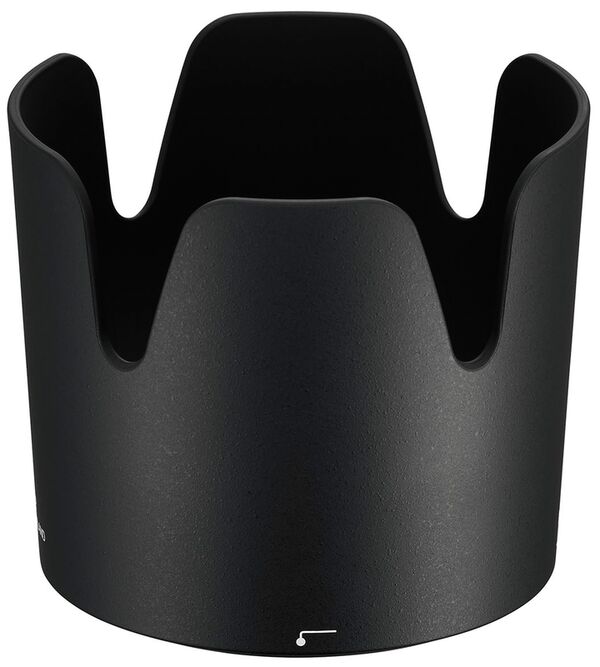 Nikon AF-P Nikkor 70-300mm f/4,5-5,6 E  ED VR  Nikon FX