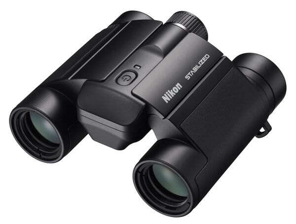 Nikon Fernglas Stabilized  10x25 S