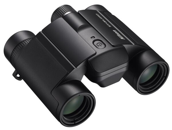 Nikon Fernglas Stabilized  10x25 S