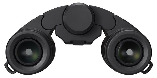 Nikon Fernglas Stabilized  10x25 S