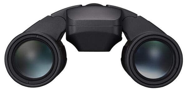 Nikon Fernglas Stabilized  10x25 S