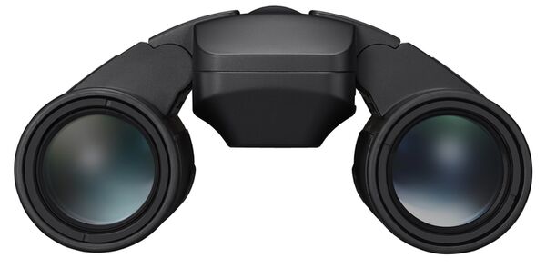 Nikon Fernglas Stabilized  12x25 S