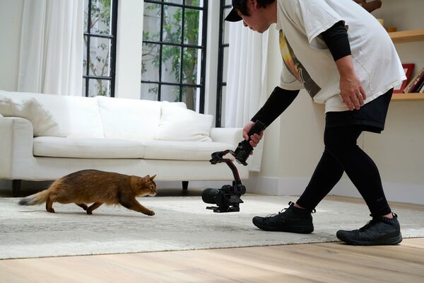 Nikon Nikkor Z 17-28mm f/2.8  Nikon Z