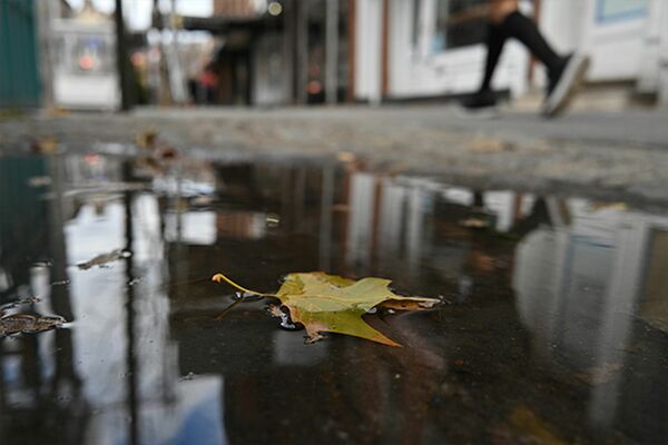 Nikon Nikkor Z 26mm f/2,8  Nikon Z