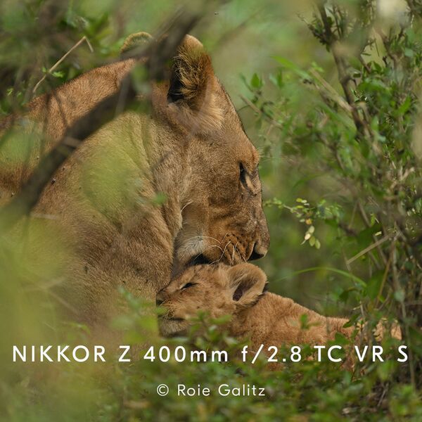 Nikon Nikkor Z 400mm f/2.8 TC VR S  Nikon Z