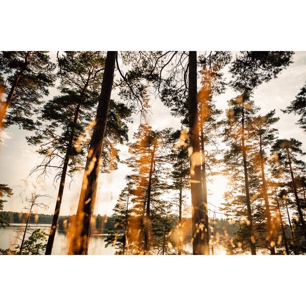 Nikon Nikkor Z DX 16-50mm f/2.8 VR  Nikon Z (DX)