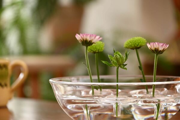 Nikon Nikkor Z  DX 18-140mm f/3,5-6,3 VR  Nikon Z