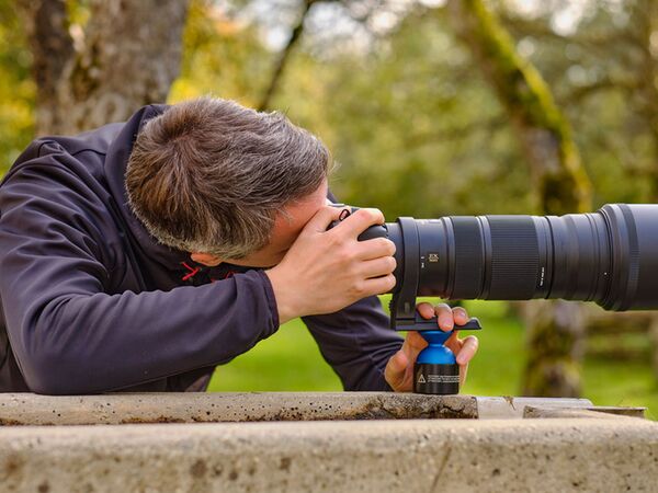 Novoflex Ball FREE 50 Set bestehend aus: Kugel, Schale und Stützfuß (Einstiegsset ins MB FREE System) 