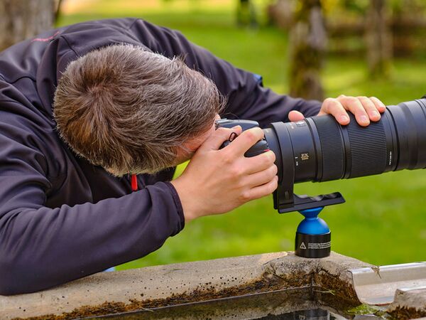 Novoflex MagicBall FREE 50 (M) Set bestehend aus: Kugel, Gehäuse, Schale und Stützfuß 